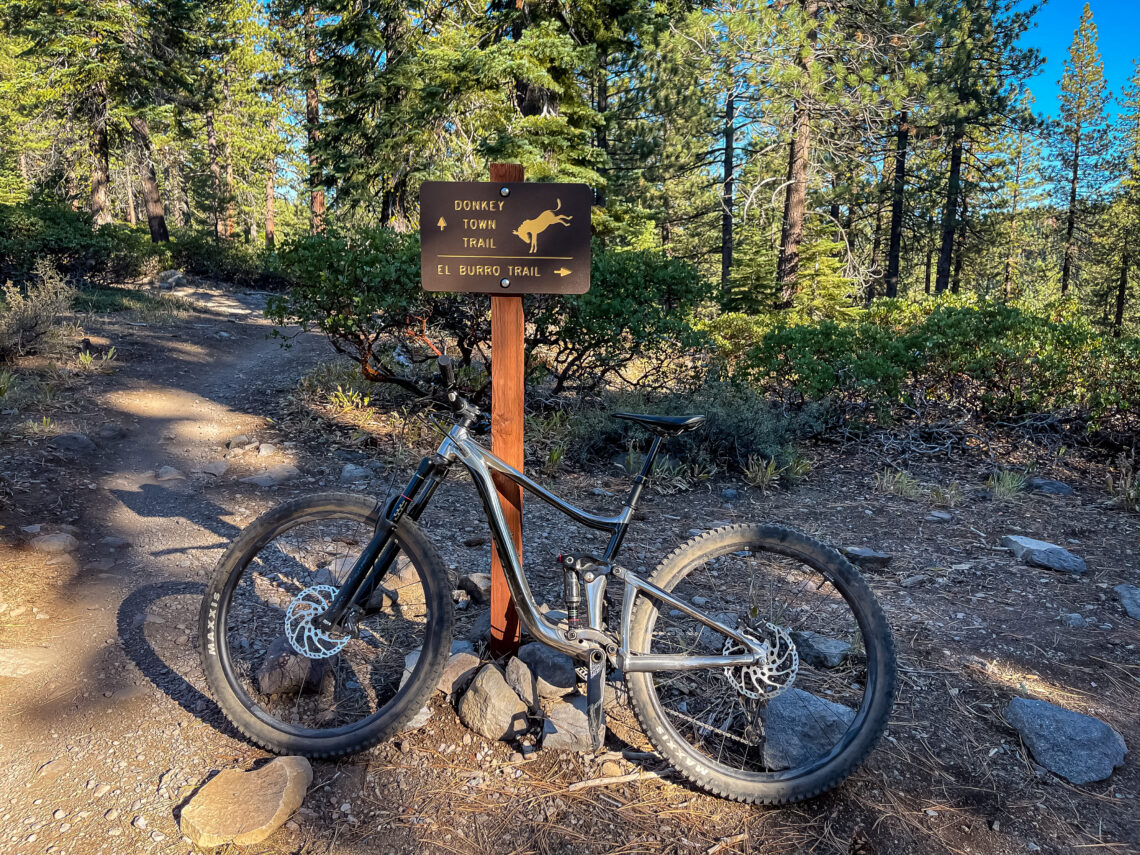 Mountain Biking Truckee