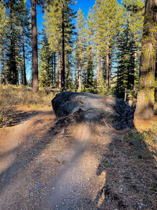 Mountain Biking Truckee