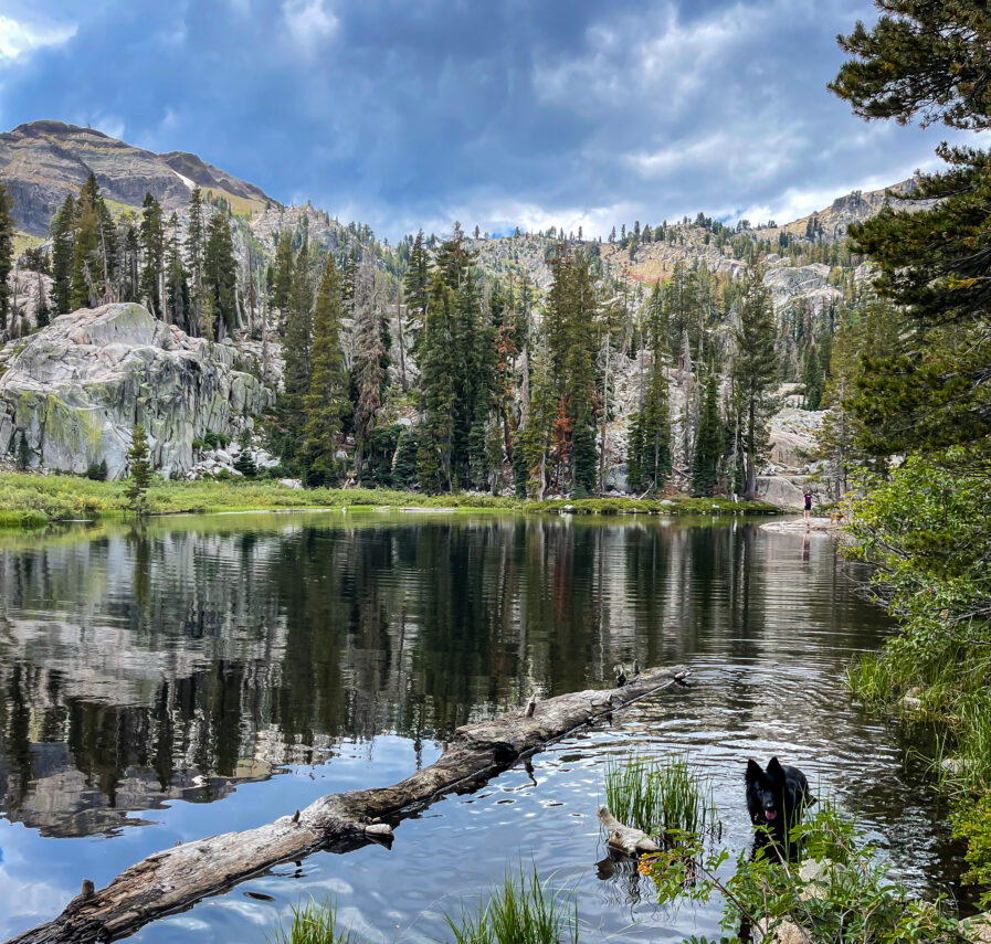 Shirley Lake