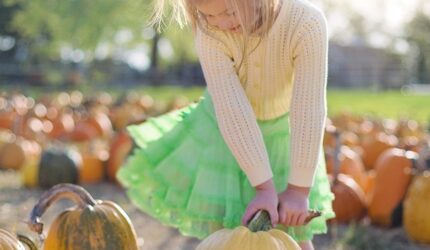 girl in a pumpkin patch