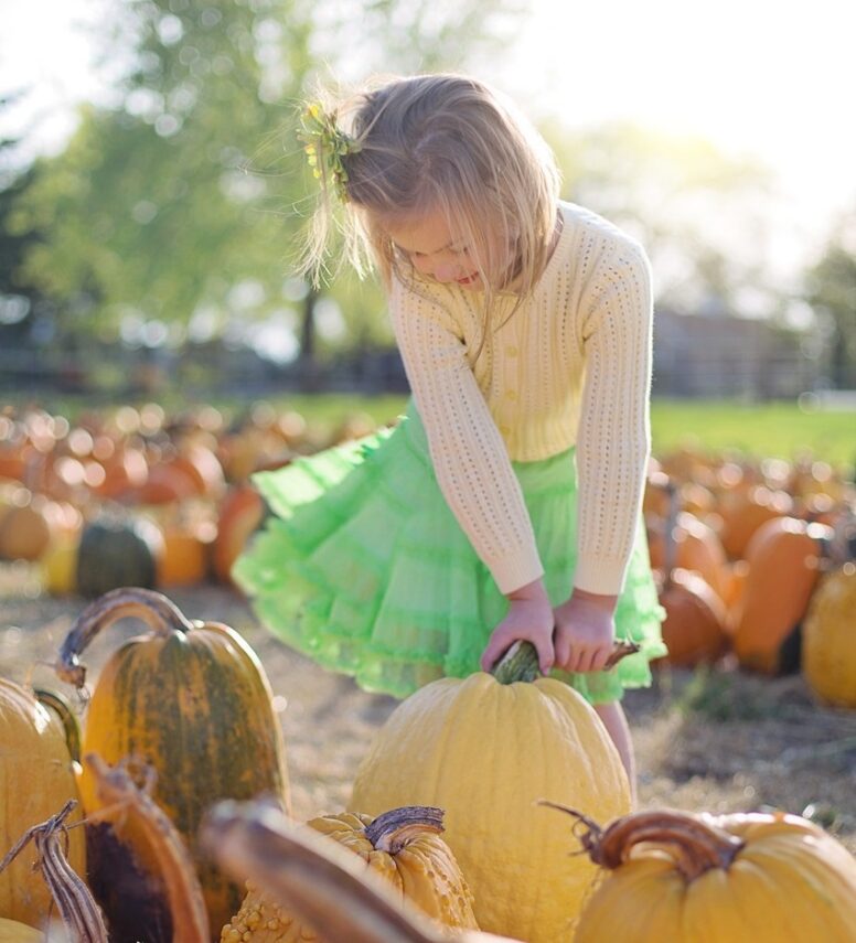 girl in a pumpkin patch